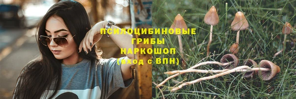 эйфоретик Алексеевка
